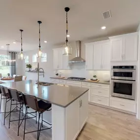 Gourmet Kitchens open to family rooms in new construction home.