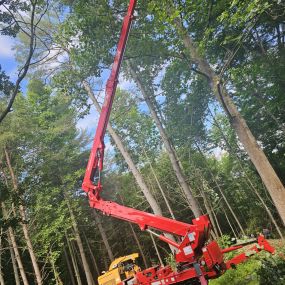 Bild von M&R Forestry Service