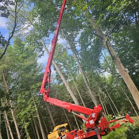 Bild von M&R Forestry Service