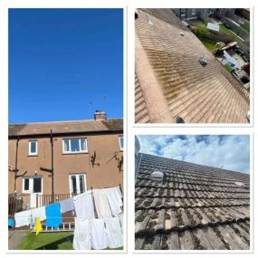 Bild von Angus Roofing Ltd