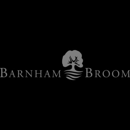 Logótipo de Barnham Broom