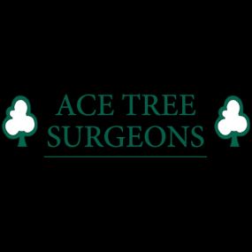 Bild von Ace Tree Surgeons