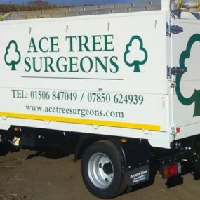 Bild von Ace Tree Surgeons