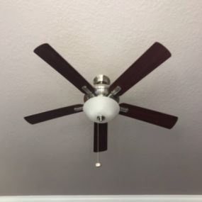 Ace Handyman Services Greater Land O Lakes ceiling fan install