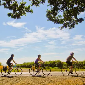 Spring is the perfect time to explore Oregon’s breathtaking bike routes! One of our favorites? The Willamette Valley Scenic Bikeway:
???? 132 miles of stunning landscapes
????️ Wineries, forests, and riverside views
????‍♀️ Suitable for all skill levels
Whether you’re in for a short spin or a full adventure, this ride is a must-try. Who’s up for a road trip on two wheels?