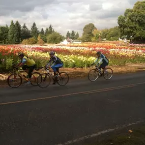 Nothing beats a scenic ride through Oregon’s blooming fields.
This stunning loop near Lake Oswego offers fresh air, open roads, and even better company. Whether you're exploring solo or in a group, let the beauty of the ride guide your path.
Come in and ask us for our favorite local route, we’ll help map out your next ride!