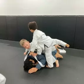 Bild von Jean Jacques Machado BJJ - Mandarin