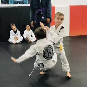 Bild von Jean Jacques Machado BJJ - Mandarin