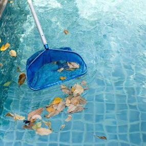 Bild von South Texas Pool Tile Cleaning