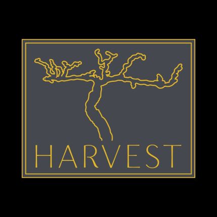 Logo from Harvest Wine Market