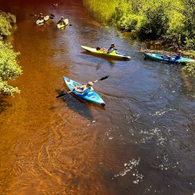 Bild von Baldy Shores Kayaking