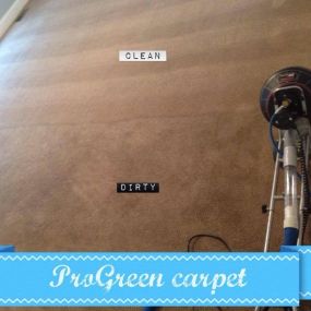 Bild von ProGreen Carpet