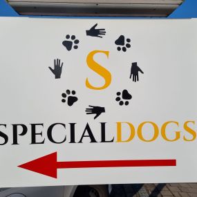 Bild von Hundeschule Specialdogs