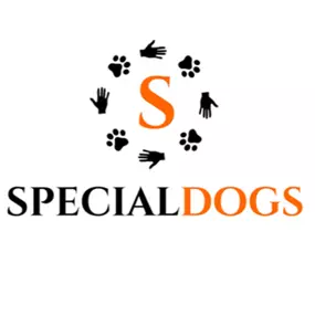 Bild von Hundeschule Specialdogs