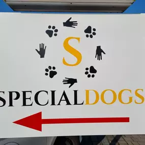 Bild von Hundeschule Specialdogs