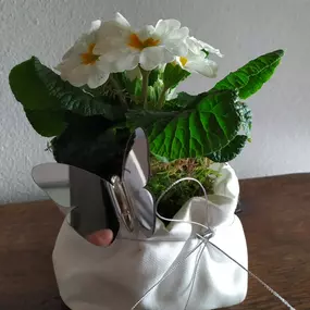 Bild von Kokedama Laboratorio