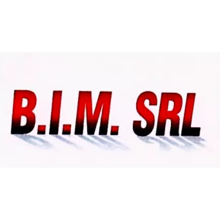 Logo da B.I.M