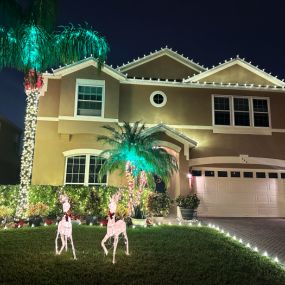 Bild von Grand Holiday Lighting