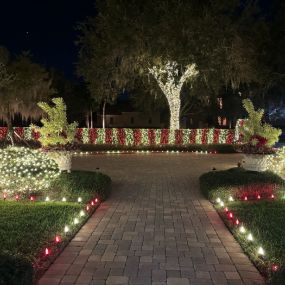 Bild von Grand Holiday Lighting