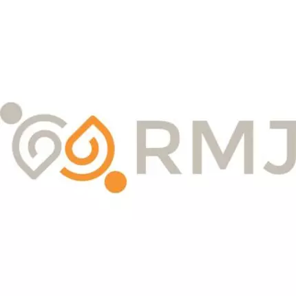 Logo from RMJ Careeer GmbH