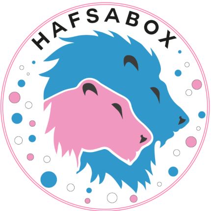 Logo de Hafsabox