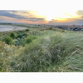 Bild von Marram Cottage Beadnell