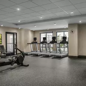 Health club  fitness center  gym