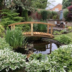 Bild von Aqua International Landscapes Ltd