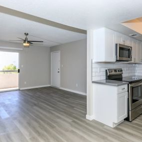 Kitchen and Living Room