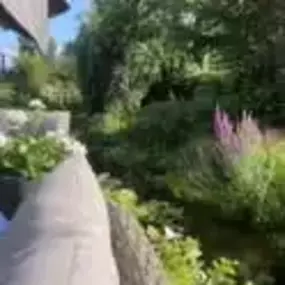 Bild von Waterscapes & Gardens Ltd