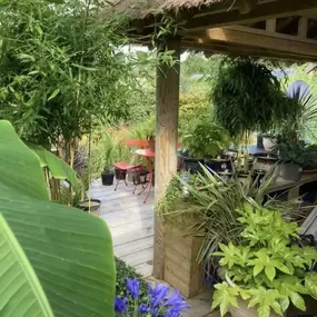 Bild von Waterscapes & Gardens Ltd