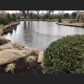 Bild von Waterscapes & Gardens Ltd