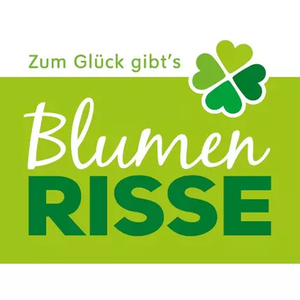 Logo de Blumen Risse Gartencenter Osnabrück