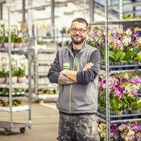 Blumen Risse Zentrale mit der Zimmerpflanzenhalle.