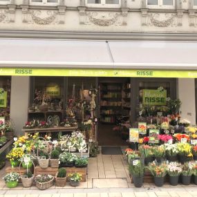 Bild von Blumen Risse Blumenladen Bochum-Rathaus