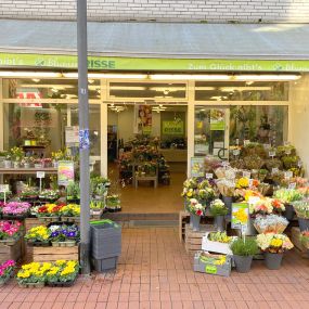 Bild von Blumen Risse Blumenladen Essen-Steele