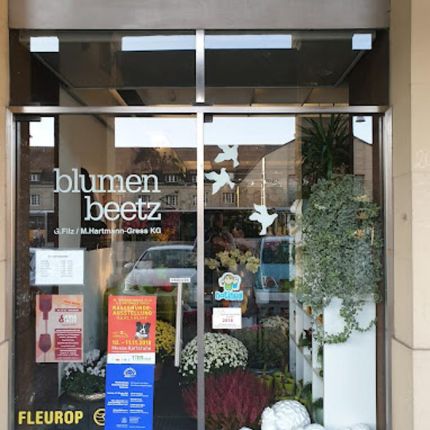 Logo van Blumen Beetz