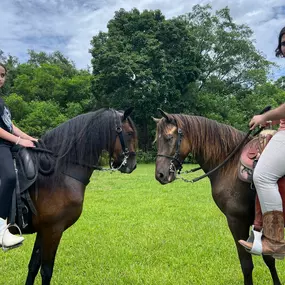Bild von Events, Horses & More, Corp.