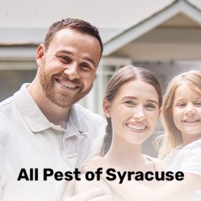 Bild von All Pest of Syracuse