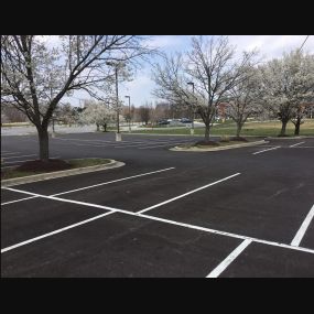 Fresh paved parking lot.