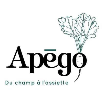 Logo da Apégo