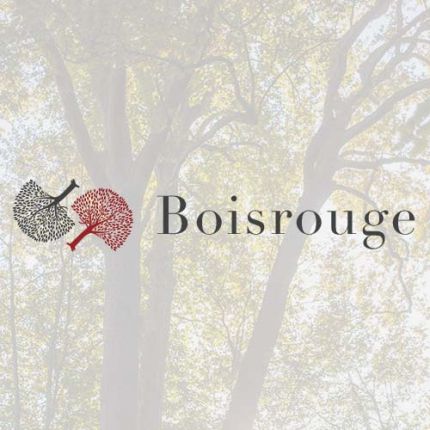 Logo od Boisrouge