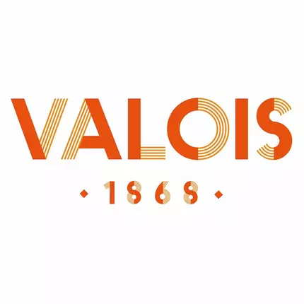 Logo da Valois - Paris