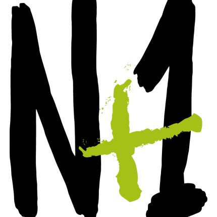 Logo da N+1