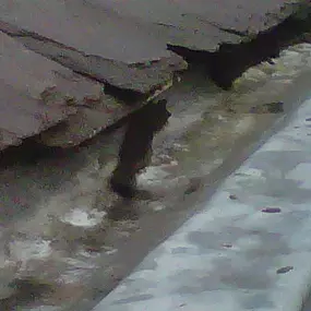 Bild von Approved Roofing & Building