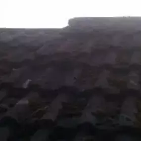 Bild von Approved Roofing & Building