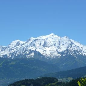 Bild von Hôtel le Chamois d'Or