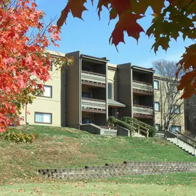 Bild von Suson Pines Apartments