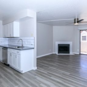 Kitchen and Living Room