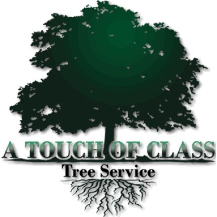 Logotyp från A Touch of Class Tree Service